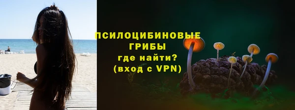 прущие крисы Алексин